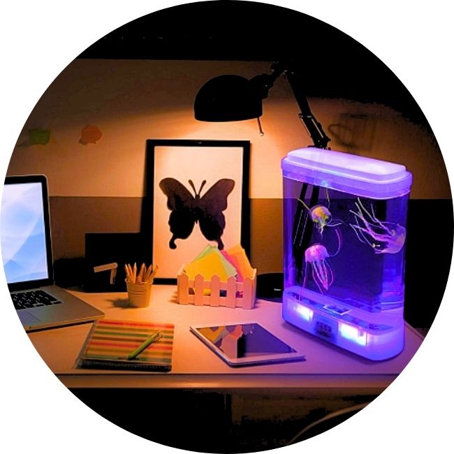Jellyfish Lamps
