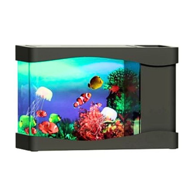 Fake Fish Tanks