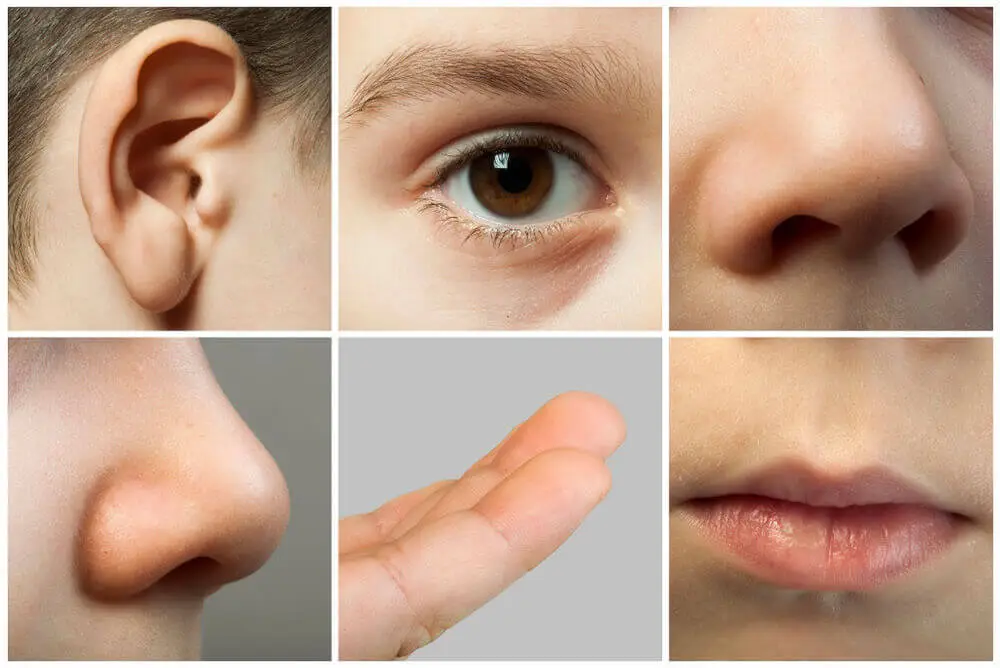 The Importance of Sensory Development and Sensory Play